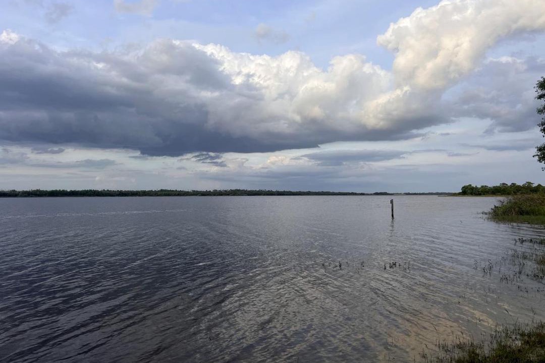 Photo of Others in Braden River