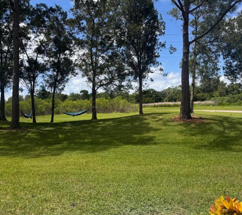 Photo of Others in East Lake Woodlands