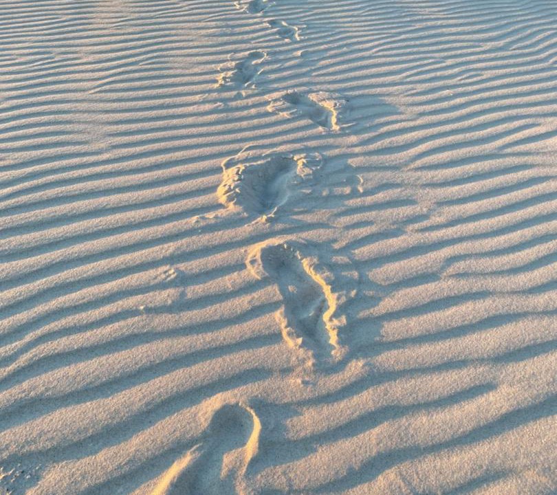 Photo of Others in Holmes Beach