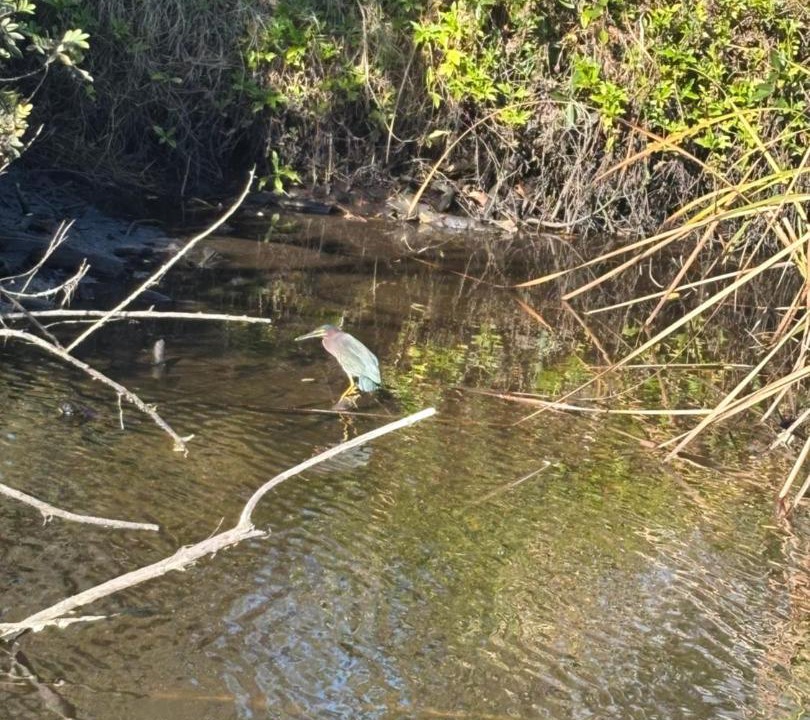 Photo of Others in Fort Myers