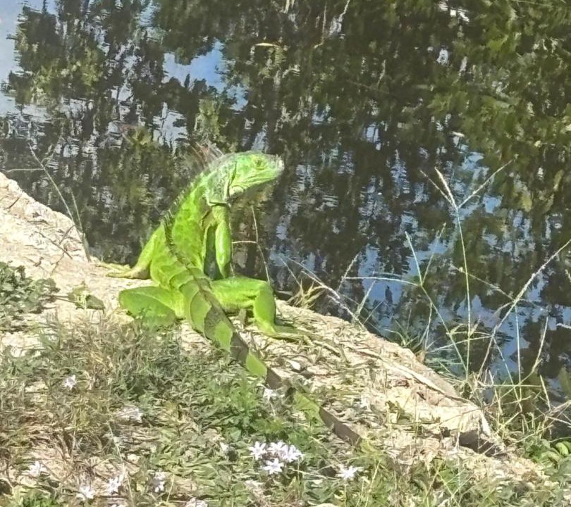 Photo of Others in Fort Myers
