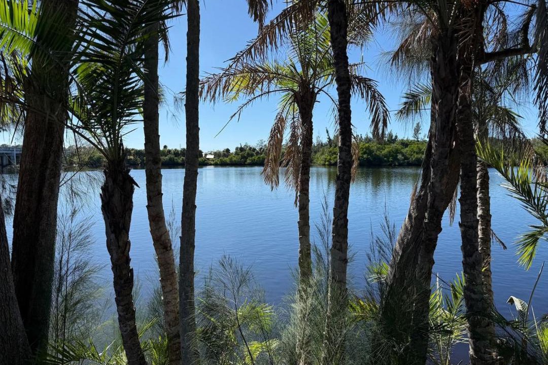 Photo of Others in Warm Mineral Springs