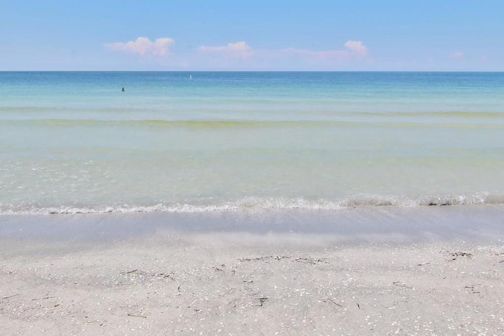 Photo of Others in Belleair Beach