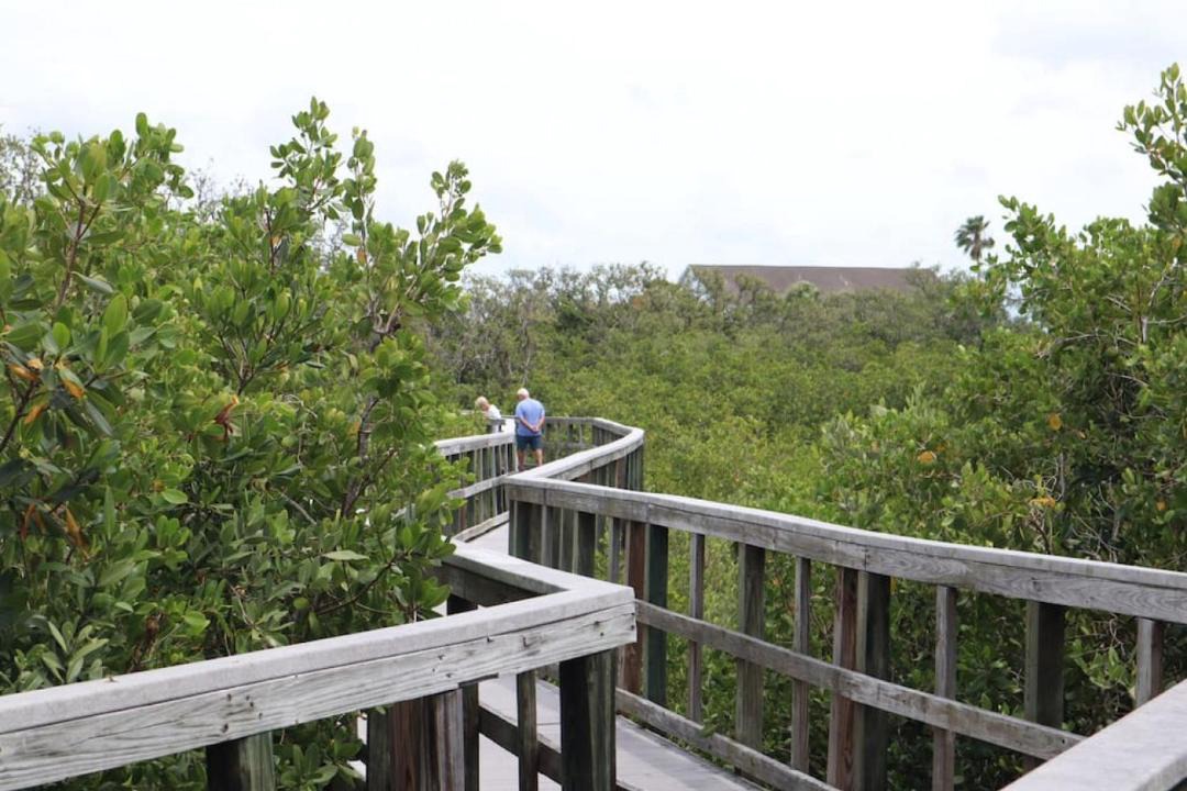 Photo of Others in Punta Gorda