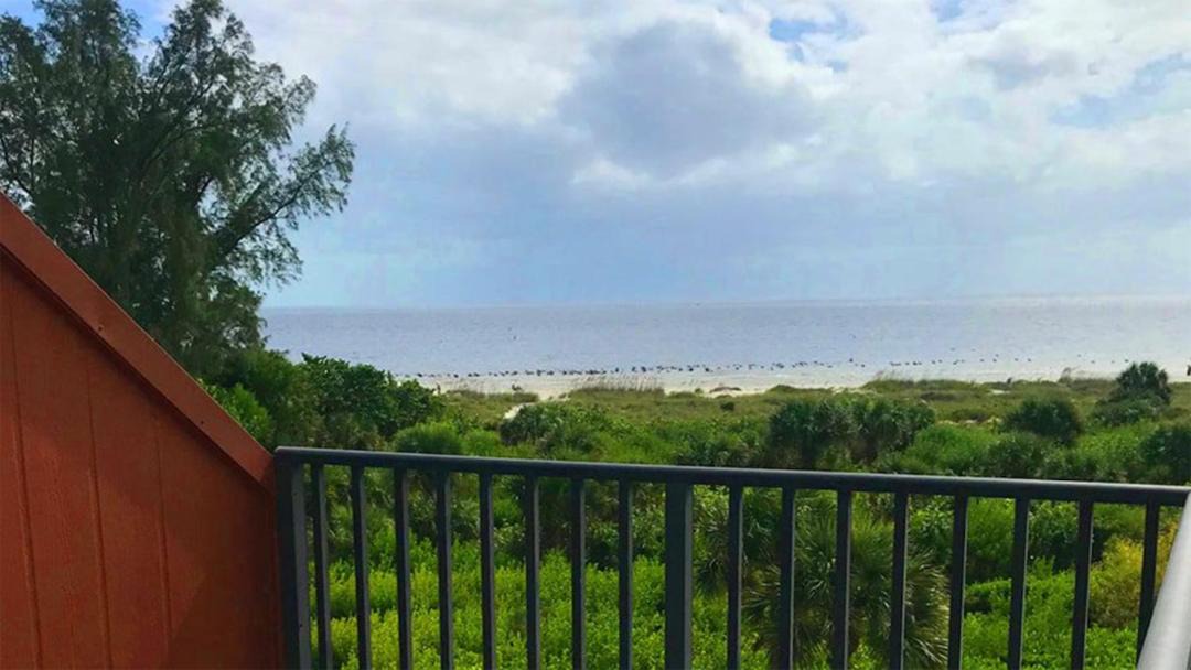 Photo of Others in Sanibel