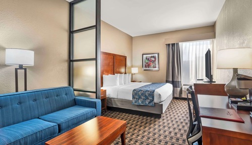Suite, 1 Queen Bed, Non Smoking, Refrigerator & Microwave (with Sofabed)