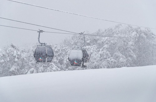 Thredbo Ski Chalet | ✨Mundarlu Private Chalet Prime Location✨ Sleeps 6 |Woodridge Area |Walk to Lifts