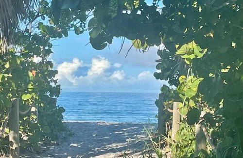 Grove City House | The Salty Sister Bayside Retreat Near Manasota Key Sleeps 6