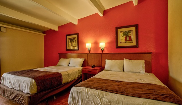 Clearwater Hotel in Clearwater