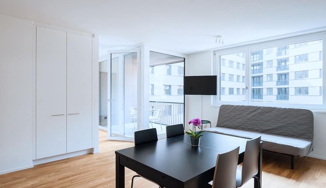 BS Deer I - Messe HITrental Apartment in Basel