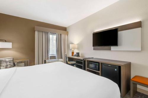 Comfort Inn & Suites Port Charlotte-Punta Gorda